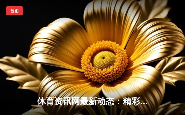 体育资讯网最新动态：精彩赛事回顾